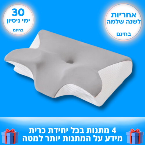 כרית הדגל שלנו